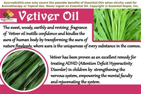 spiritual meaning of vetiver oil.